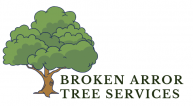 treeservicebrokenarrow.net